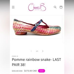 Chanii B casual shoes